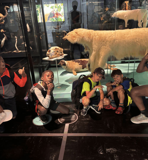 Camp de jour img 5607